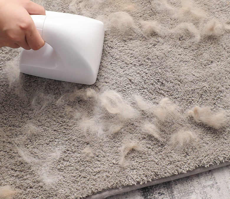 Rouleau ramasse-poils pour animaux – Chats et chiens